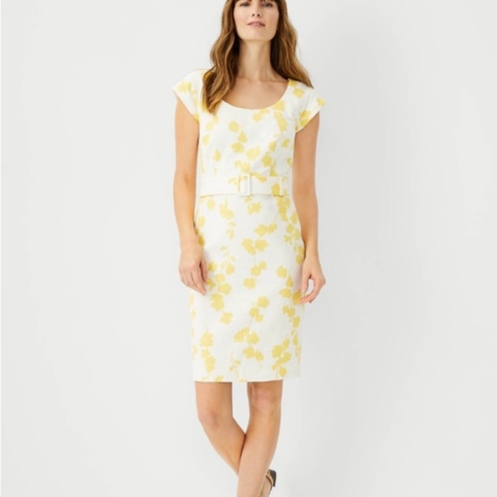 White and Cream Sheath Midi Dress with Flutter Sleeves